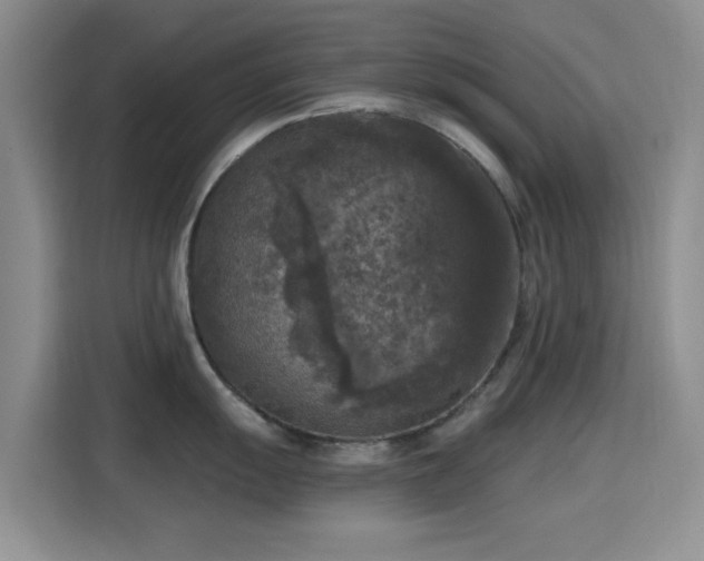 X0000115671055200911191021