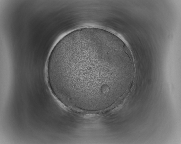 X0000115671056200911191021