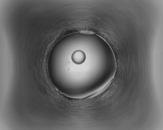 X0000115671057200911191021