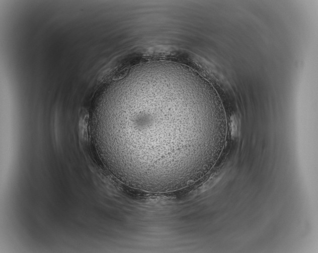 X0000115671059200911191021