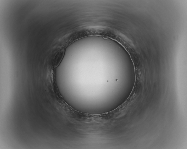 X0000115671061200911191021