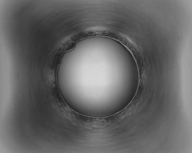 X0000115671062200911191021