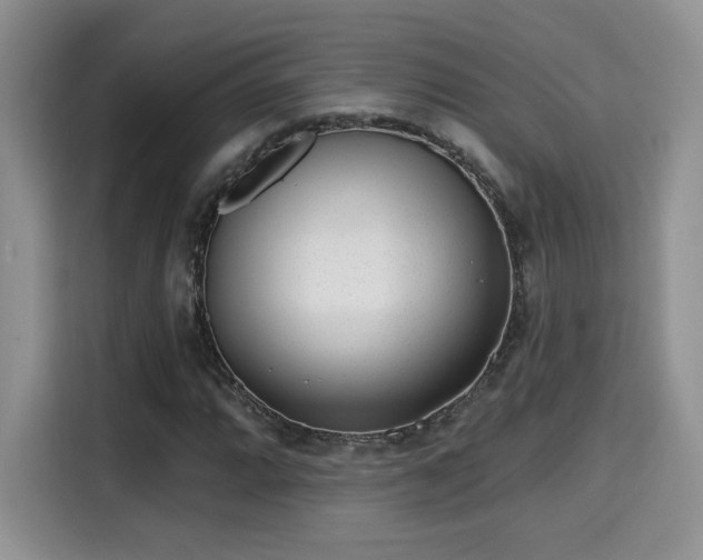X0000115671064200911191021