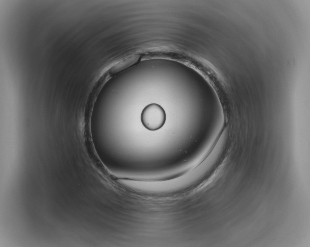 X0000115671065200911191021