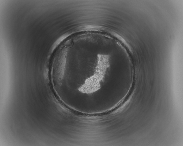 X0000115671066200911191021