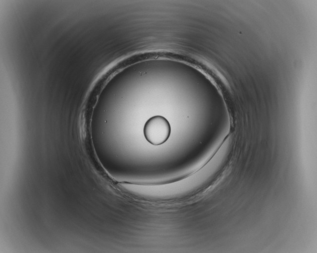 X0000115671069200911191021