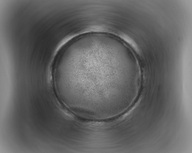 X0000115671070200911191021