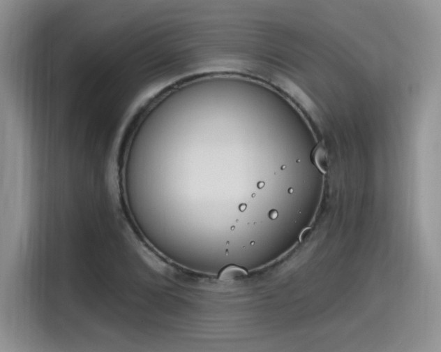 X0000115671072200911191021