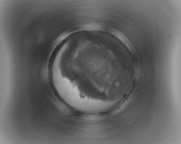 X0000115671074200911191021