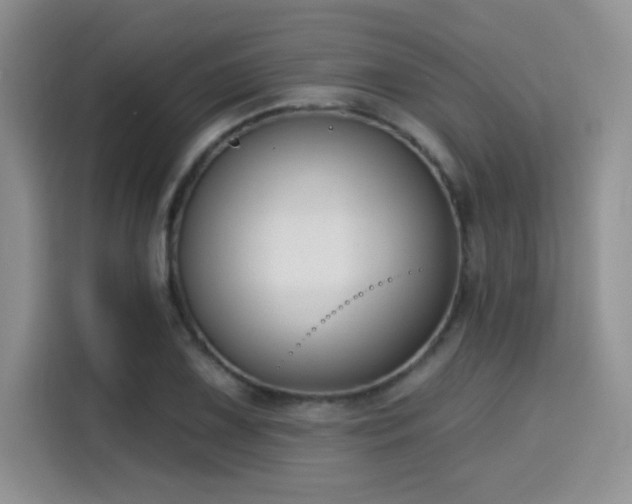 X0000115671075200911191021