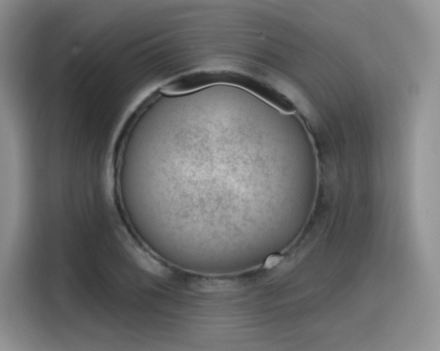 X0000115671076200911191021
