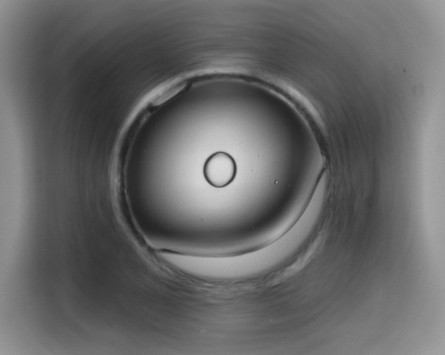 X0000115671077200911191021
