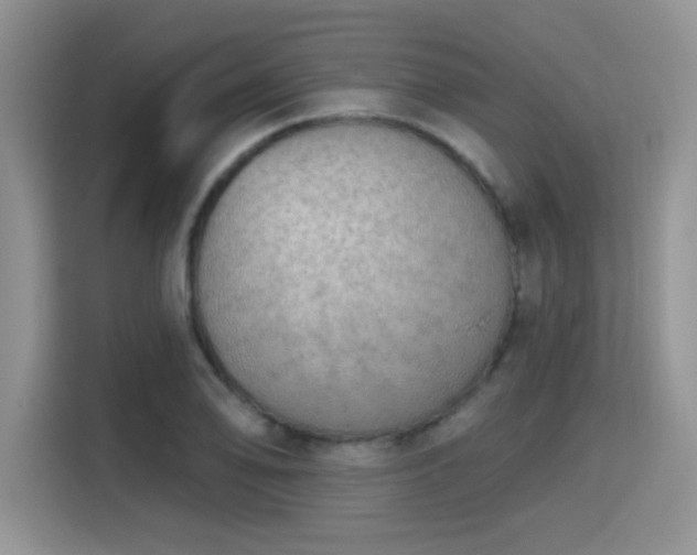 X0000115671078200911191021