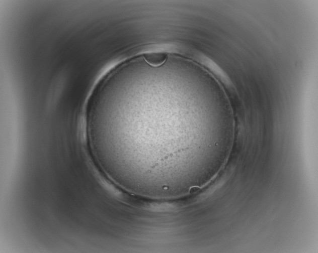X0000115671079200911191021