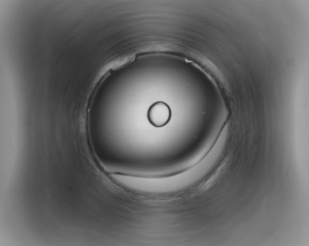 X0000115671081200911191021