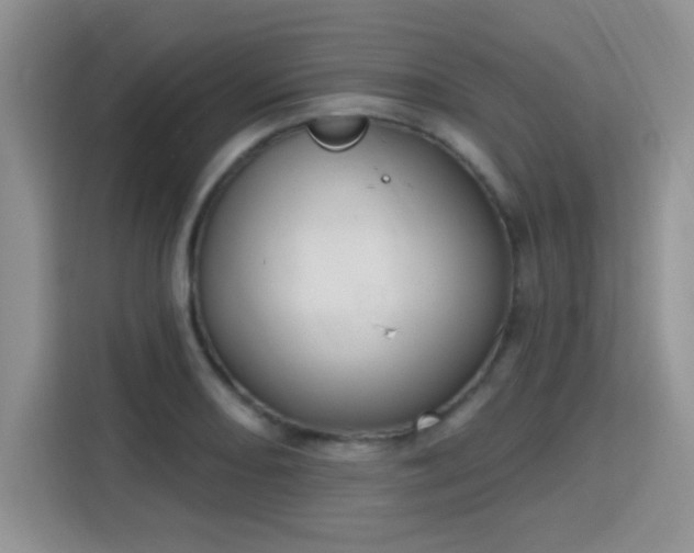 X0000115671082200911191021