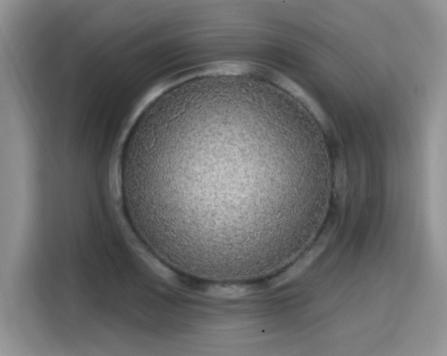 X0000115671083200911191021