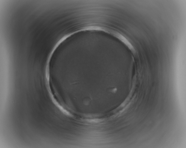 X0000115671084200911191021