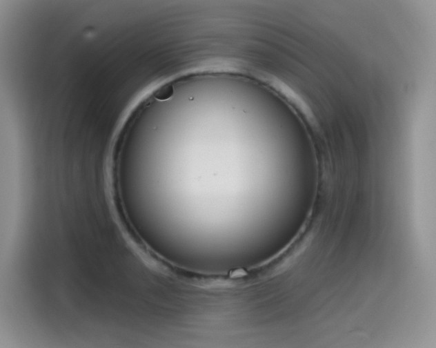 X0000115671085200911191020
