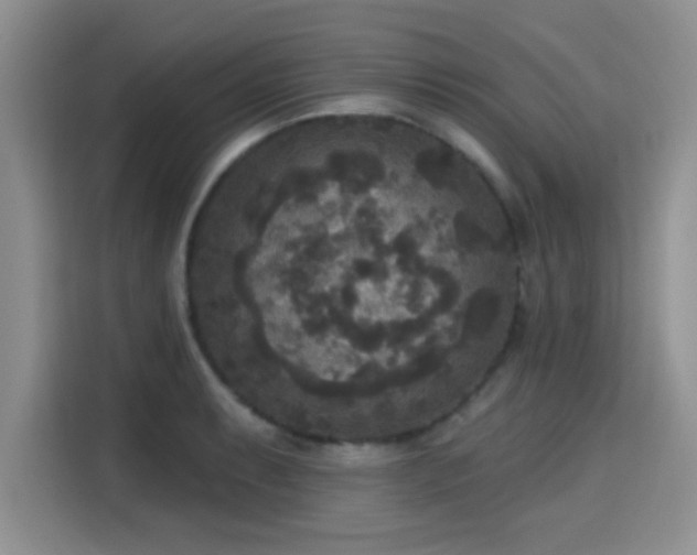 X0000115671087200911191020