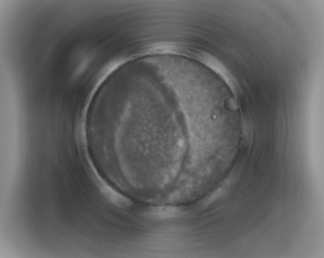 X0000115671090200911191020