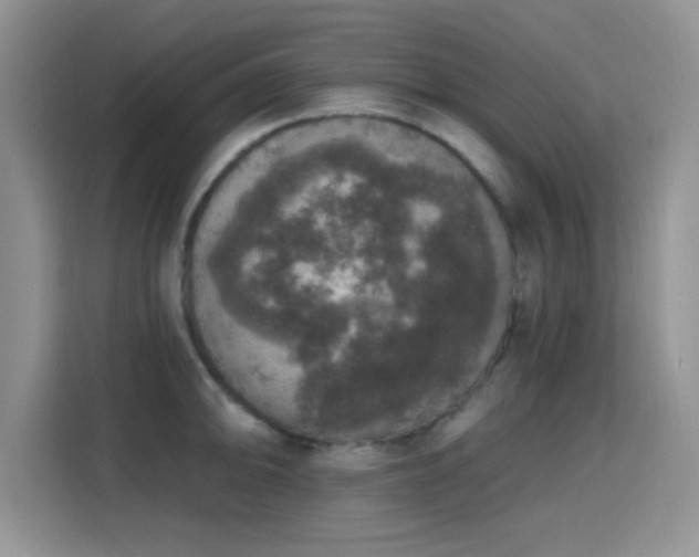 X0000115671094200911191020