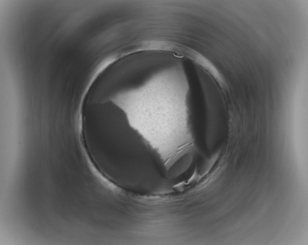 X0000115671095200911191020