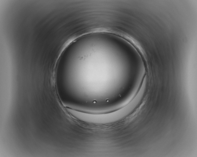 X0000115671097200911191020