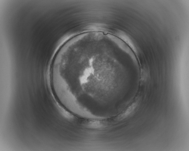 X0000115671098200911191020