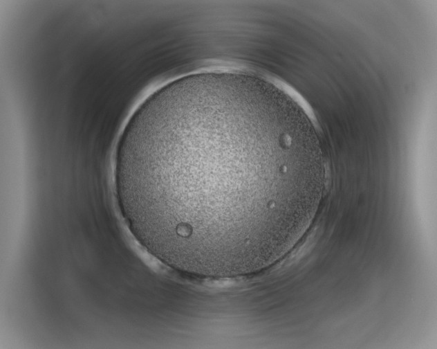 X0000115671099200911191020