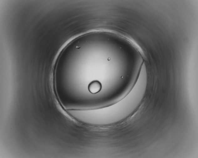 X0000115671100200911191020