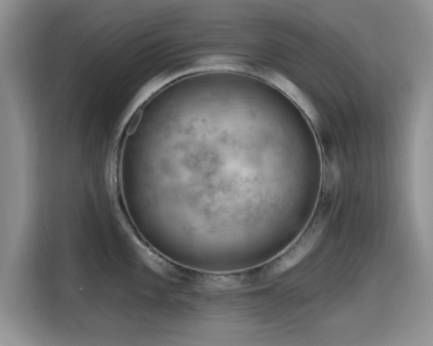 X0000115671101200911191020