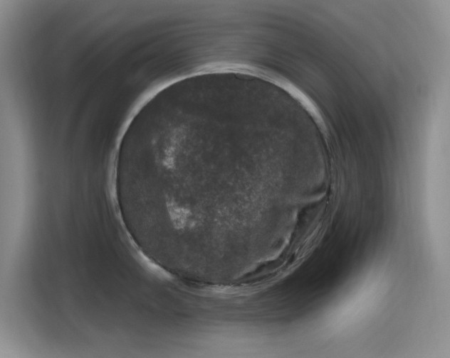 X0000115671102200911191020