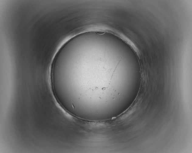 X0000115671103200911191020