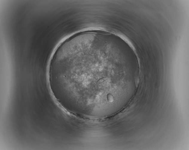 X0000115671104200911191020