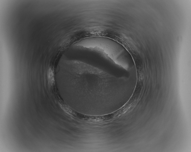 X0000115671106200911191020