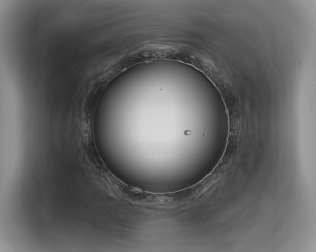 X0000115671109200911191020