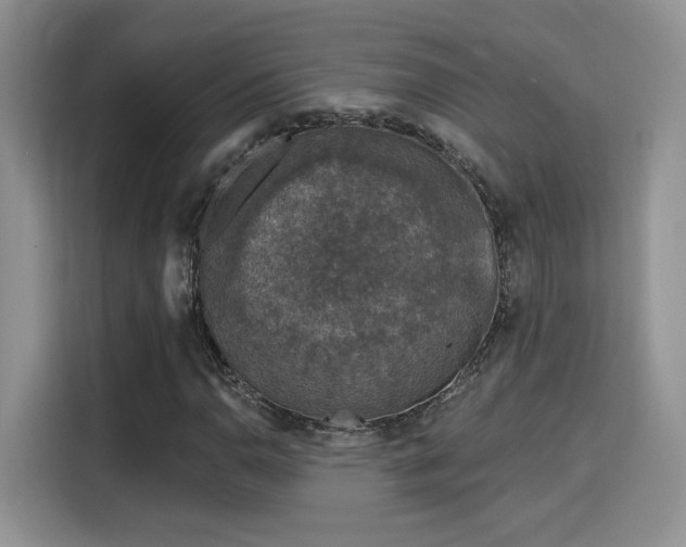 X0000115671110200911191020