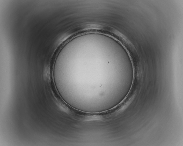 X0000115671113200911191020