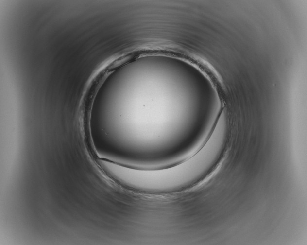 X0000115671114200911191020