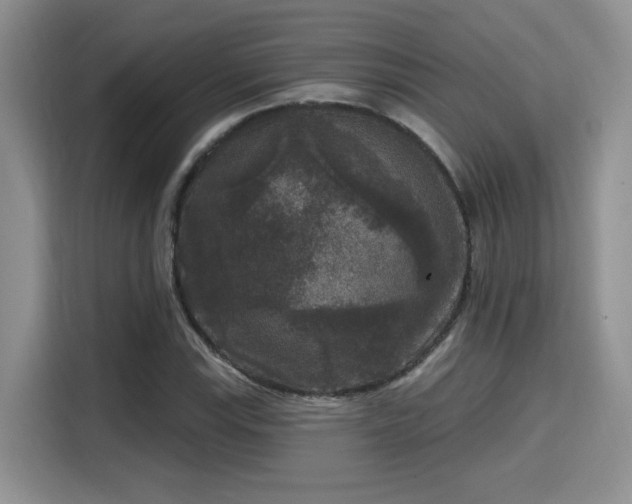 X0000115671115200911191020