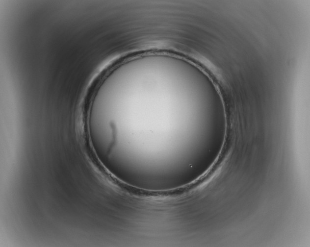 X0000115671118200911191020