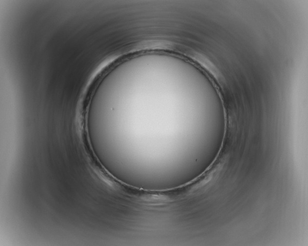 X0000115671119200911191020