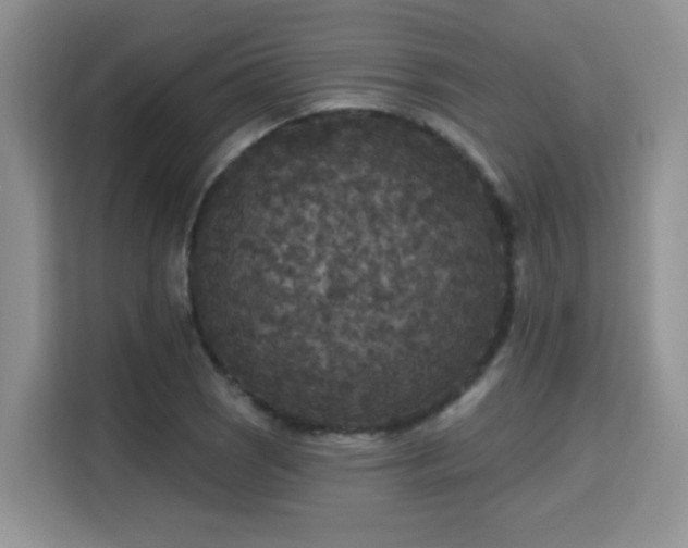 X0000115671121200911191020