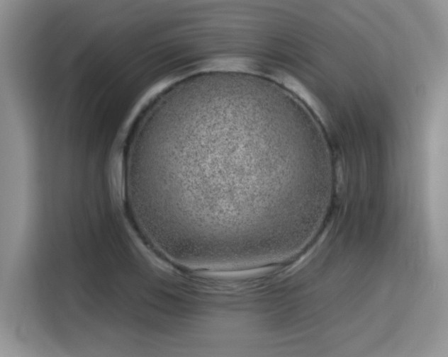 X0000115671123200911191020