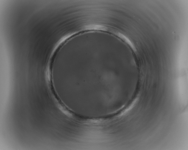 X0000115671125200911191020