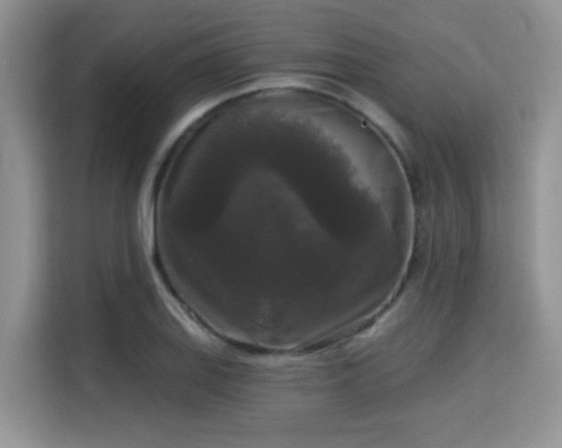 X0000115671127200911191020