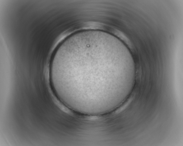 X0000115671130200911191020