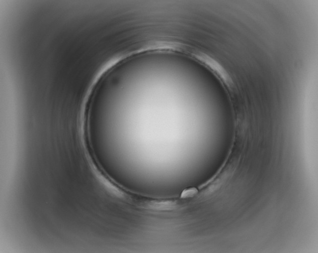 X0000115671135200911191020