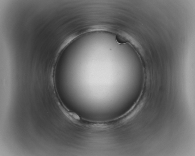 X0000115671137200911191020